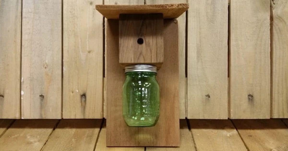 How To Make A Carpenter Bee Trap With Mason Jar?